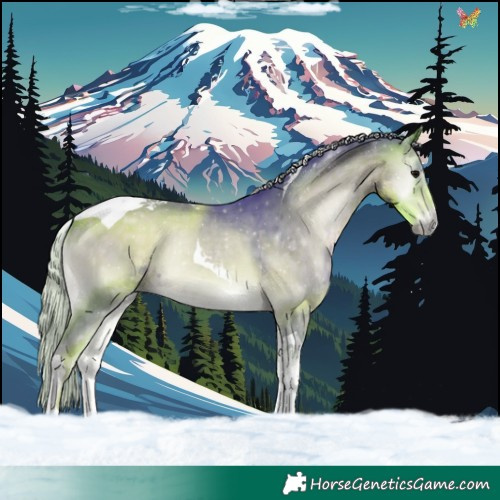 Horse Color:Watercolor Silver Buckskin Onyx Tobiano 
