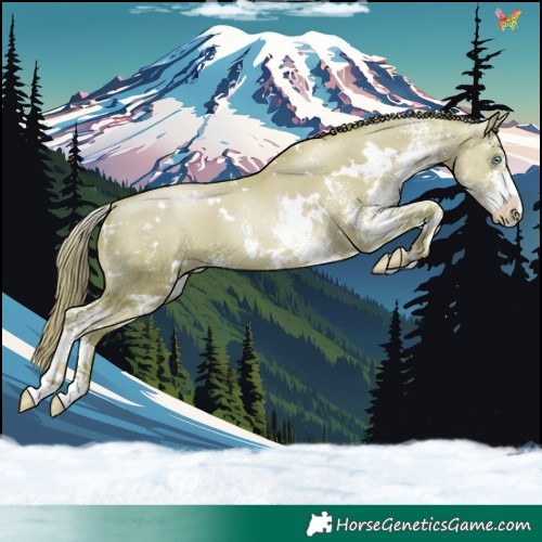 Horse Color:Watercolor White Spotted Gold Champagne Pearl