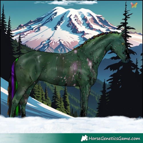 Horse Color:ERROR: UNKNOWN ANOMALY