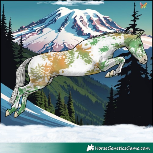 Horse Color:Watercolor White Spotted Silver Bay Sabino 