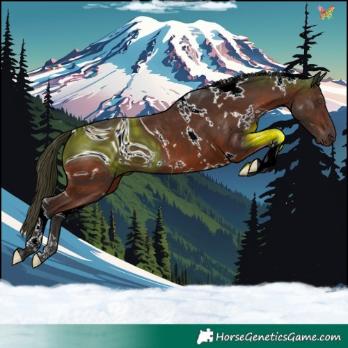 Horse Color:ERROR: UNKNOWN ANOMALY
