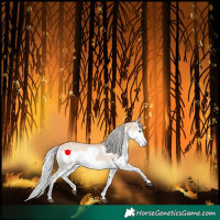 Horse Color:Silver Bay Dun Splash