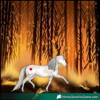 Horse Color:Silver Bay Dun Splash 