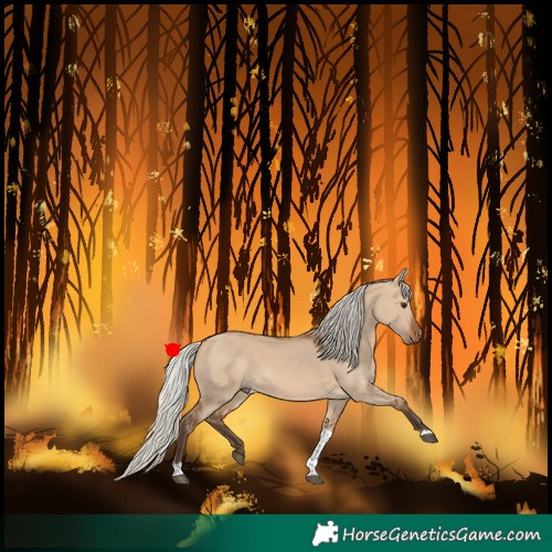 Horse Color:Silver Brown Dun Tobiano 