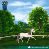 Horse Color:Amber Cream Champagne 