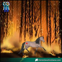Horse Color:Platinum Bay