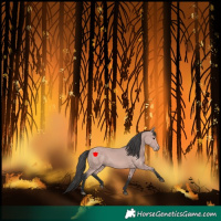 Horse Color:Platinum Bay