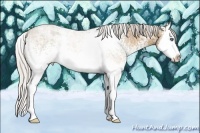 Horse Color:White Spotted Silver Bay Ice Dun Sabino Splash 