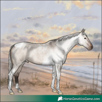 Horse Color:Silver Brown Roan Dun Tobiano Rabicano