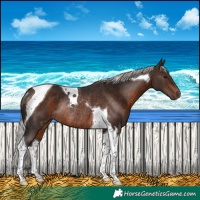Horse Color:Silver Brown Tobiano Rabicano 