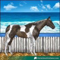 Horse Color:Silver Buckskin Tobiano 