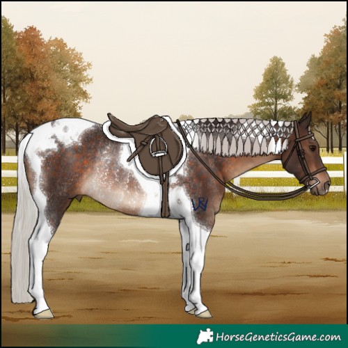 Horse Color:Silver Brown Tobiano Rabicano