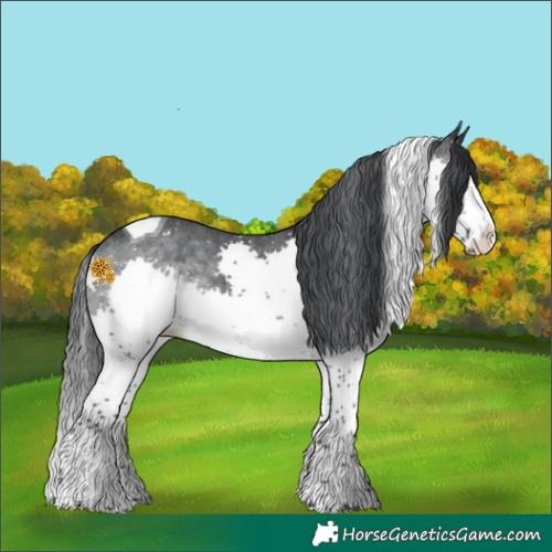 Horse Color:Brown Chinchilla Sabino Splash Tobiano 