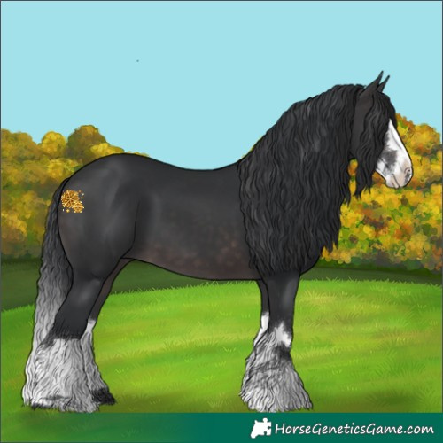 Horse Color:Platinum Brown Splash