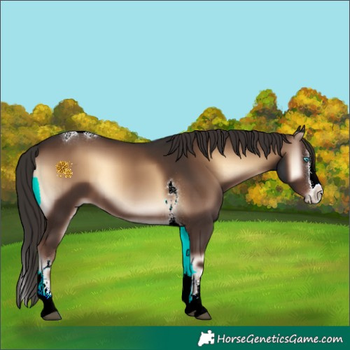 Horse Color:Liver Red Onyx Sabino Splash Tobiano