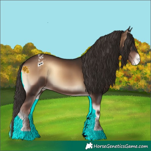Horse Color:Liver Red Onyx Varnish