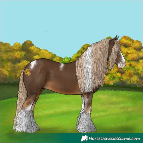 Horse Color:White Spotted Chocolate Palomino Splash Tobiano