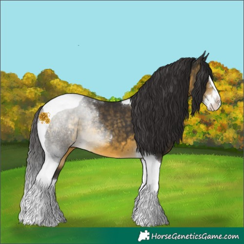 Horse Color:Buckskin Splash Tobiano Varnish