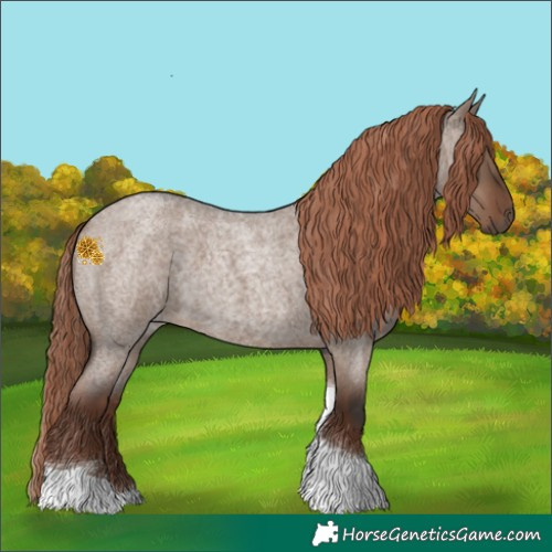 Horse Color:Liver Red Dun Roan Tobiano