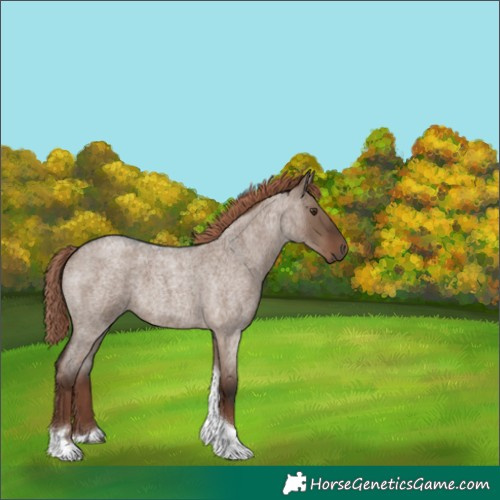 Horse Color:Liver Red Dun Roan Tobiano 