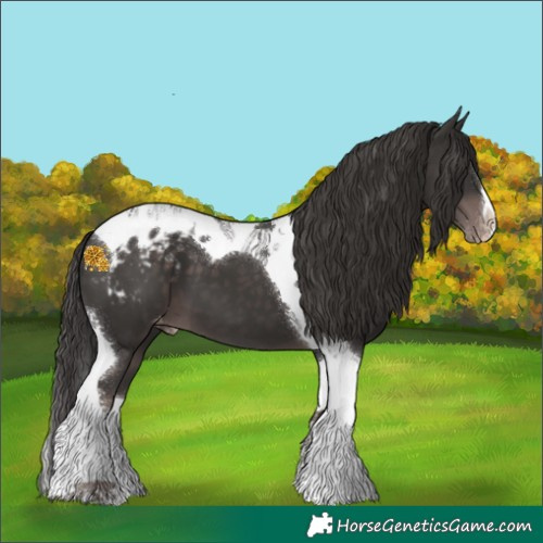 Horse Color:Platinum Liver Chestnut Splash Tobiano Appaloosa 