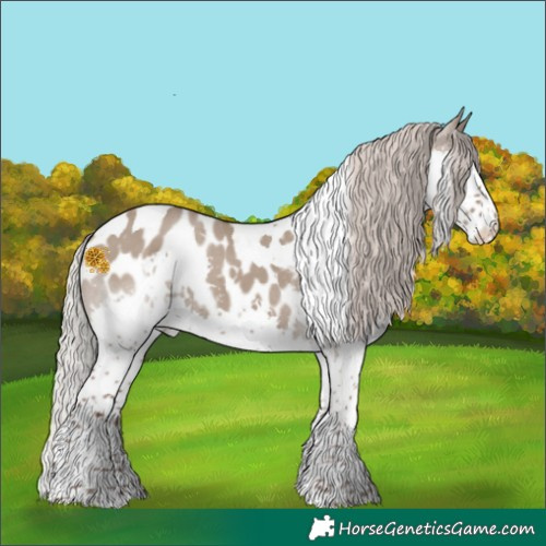 Horse Color:White Spotted Silver Grullo Splash Tobiano Appaloosa 