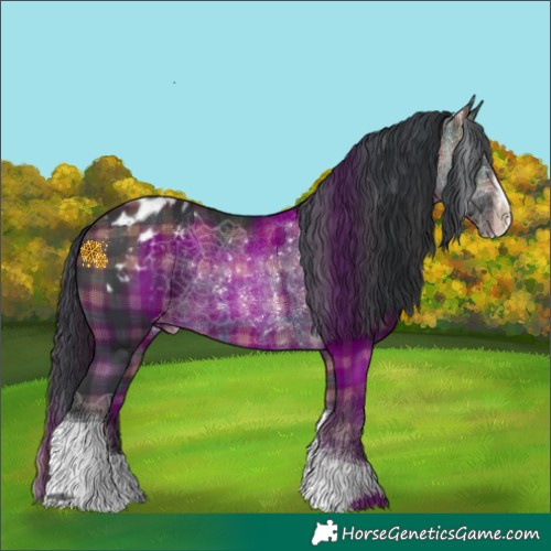 Horse Color:Plaid  Brown Splash Tobiano Appaloosa 