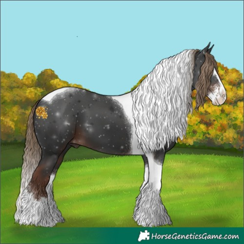 Horse Color:Liver Chestnut Sabino Splash Tobiano 