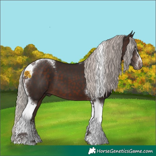 Horse Color:Silver Brown Sabino Tobiano 