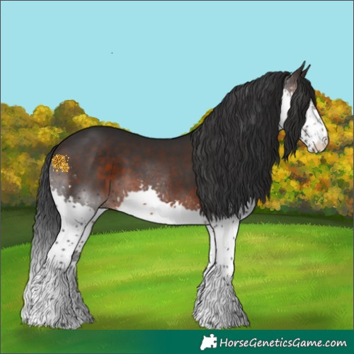 Horse Color:Brown Splash