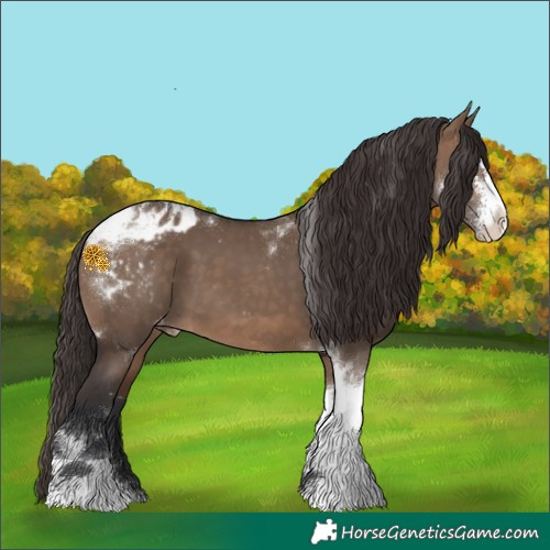 Horse Color:Brown Dun Sabino Tobiano Appaloosa