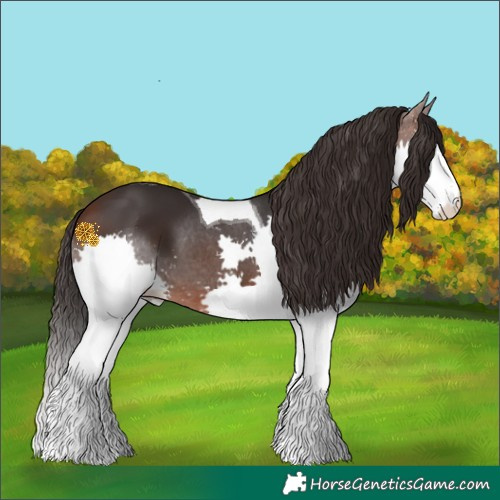 Horse Color:Brown Splash Tobiano