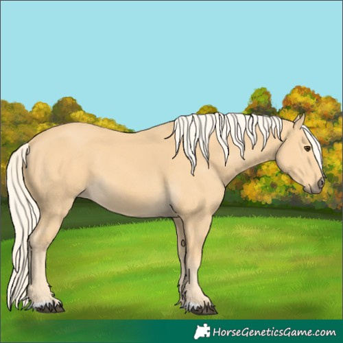 Horse Color:Palomino