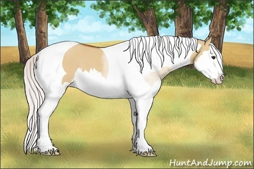 Horse Color:Silver Bay Dun Sabino Splash Tobiano 