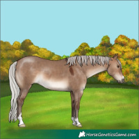 Horse Color:Silver Brown Dun 