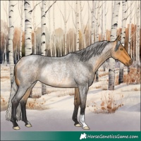 Horse Color:Silver Buckskin Roan Rabicano
