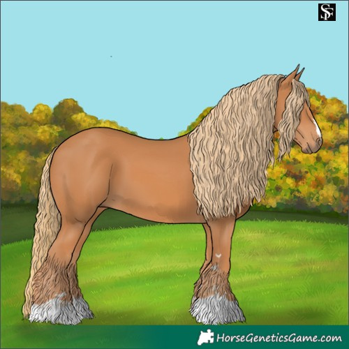 Horse Color:Chestnut 