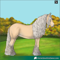 Horse Color:Pseudo Palomino 