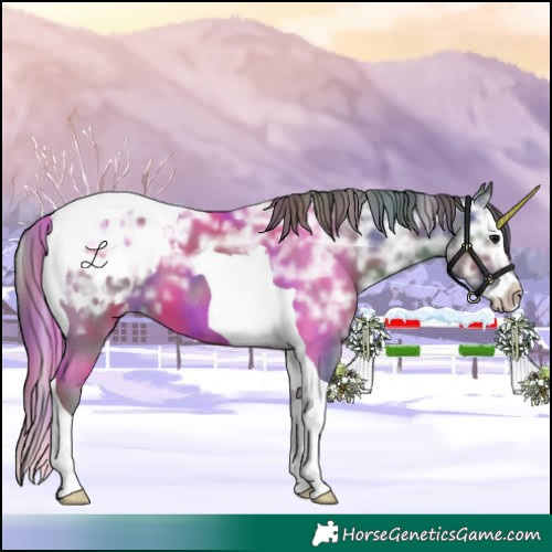 Horse Color:Nacre Black Ice Splash Tobiano Blanket