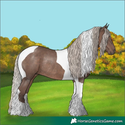 Horse Color:Silver Black Tobiano Rabicano