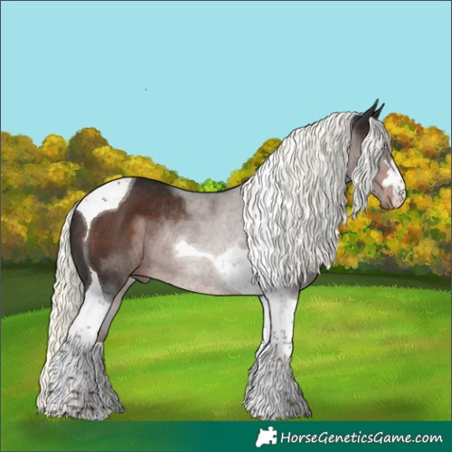 Horse Color:Liver Chestnut Mushroom Tobiano Rabicano