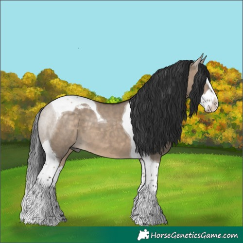 Horse Color:Brown Dun Splash Tobiano