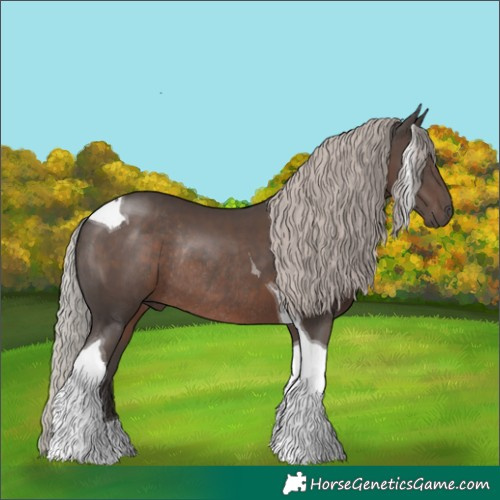Horse Color:Silver Black Tobiano Rabicano