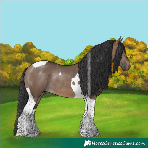 Horse Color:Brown Dun Tobiano Rabicano 