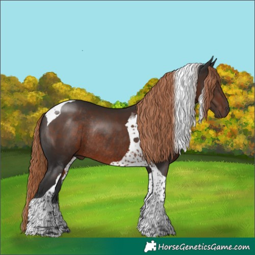 Horse Color:Liver Chestnut Tobiano Rabicano