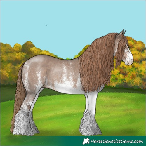 Horse Color:White Spotted Liver Red Dun Rabicano