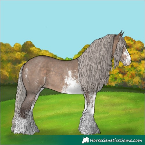 Horse Color:White Spotted Silver Brown Dun Rabicano