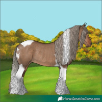 Horse Color:Liver Red Dun Tobiano Rabicano