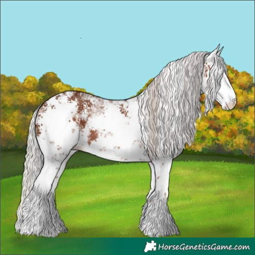 Horse Color:White Spotted Silver Black Sabino Rabicano 