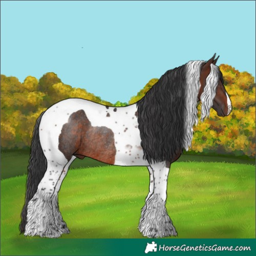 Horse Color:Brown Tobiano Rabicano 